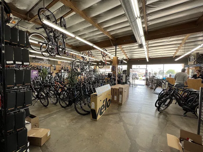 Pure Ride Cycles - Lake Forest Picture 10
