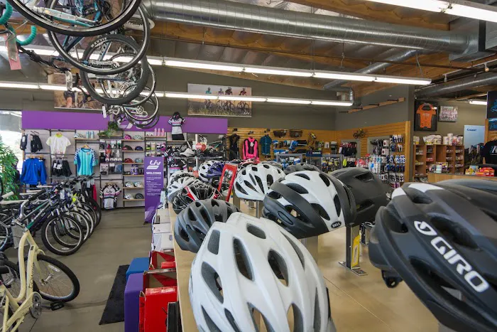 Pure Ride Cycles - Lake Forest Picture 5