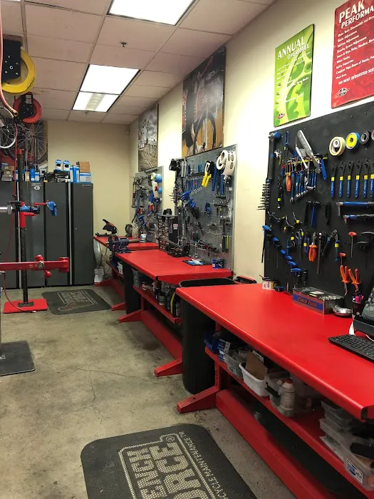 Jax Bicycle Center Picture 10