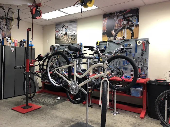 Jax Bicycle Center Picture 3