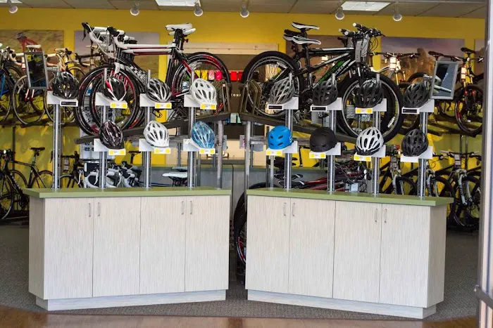 Jax Bicycle Center Picture 7
