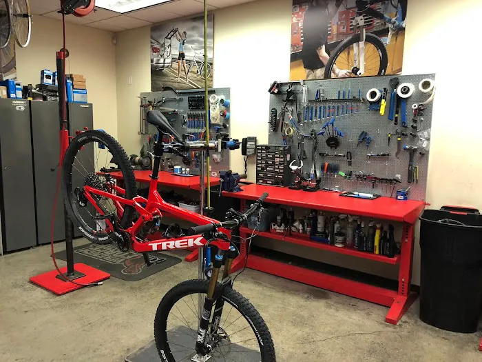 Jax Bicycle Center Picture 9