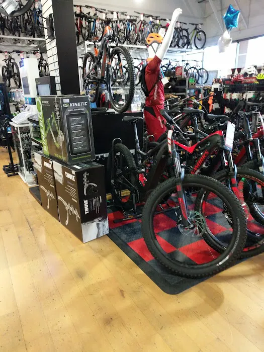 Rock N Road Cyclery Laguna Niguel Picture 4