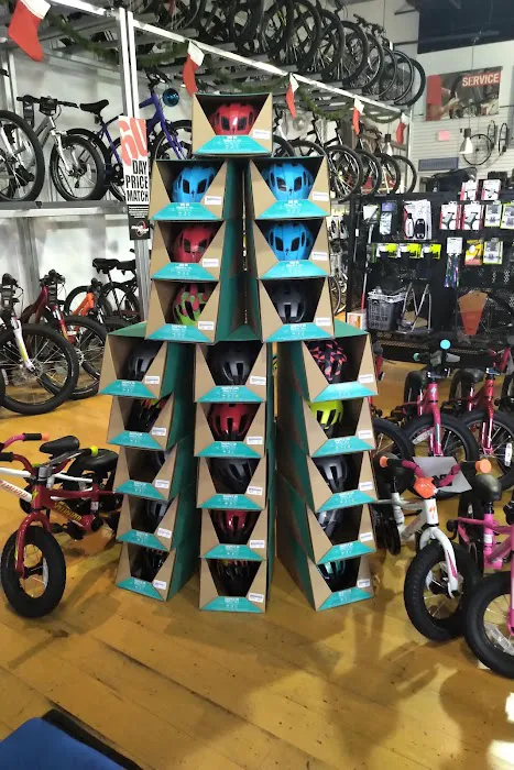 Rock N Road Cyclery Laguna Niguel Picture 2