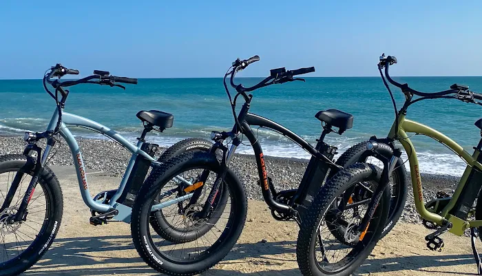Black Rock Electric Bikes Retail Sales Picture 10