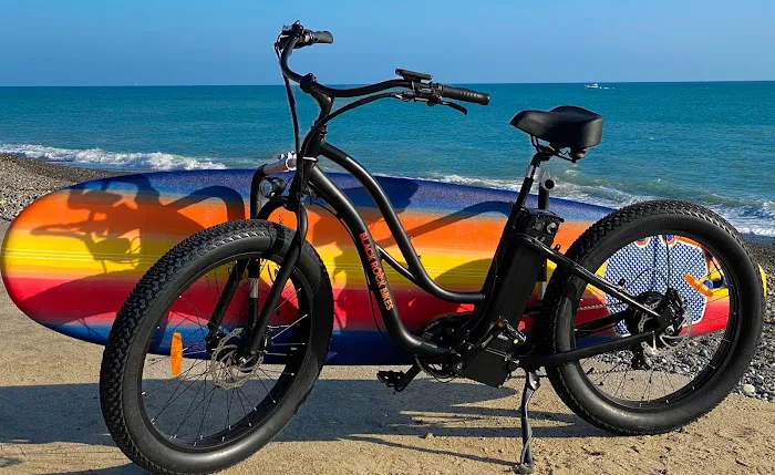 Black Rock Electric Bikes Retail Sales Picture 6