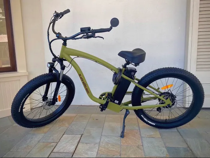 Black Rock Electric Bikes Retail Sales Picture 8