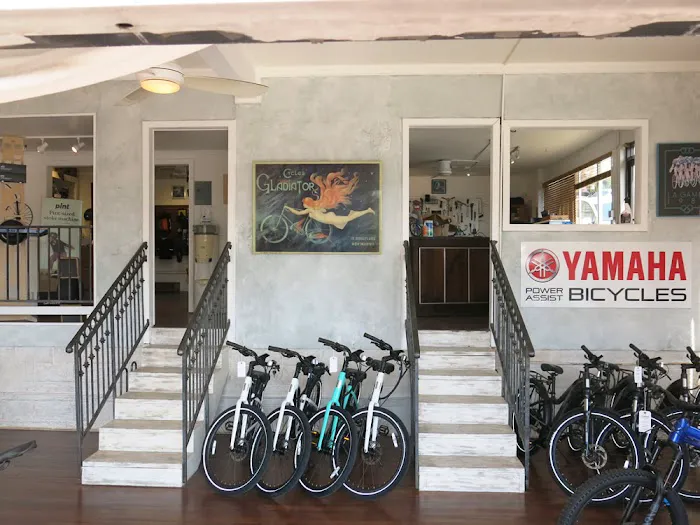 Electric Cyclery Picture 6