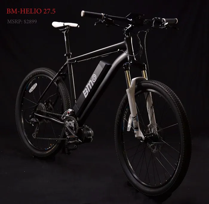 E-Bike Premier Picture 2