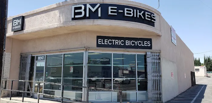 E-Bike Premier Picture 1