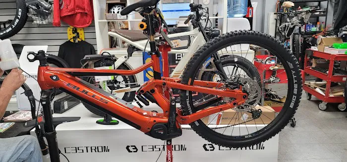 E-Bike Premier Picture 5