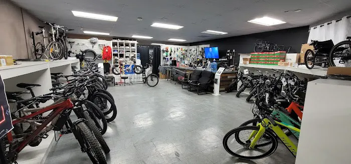 E-Bike Premier Picture 10