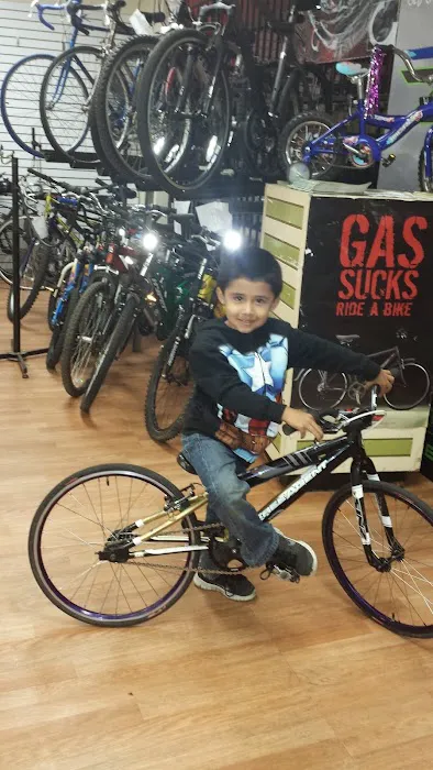 Hector and Milena Bike Shop Picture 3