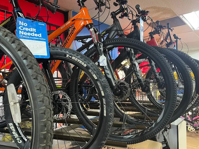 Hector and Milena Bike Shop Picture 7