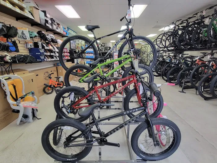 951 Bikes Picture 7