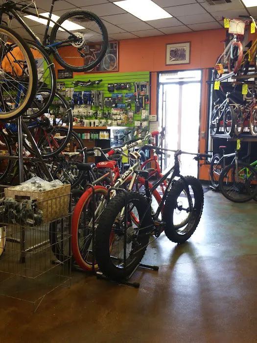 Don's Bicycles Picture 7