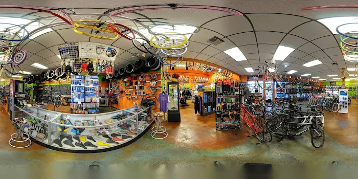 Don's Bicycles Picture 9