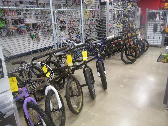 Cyclery USA Picture 7