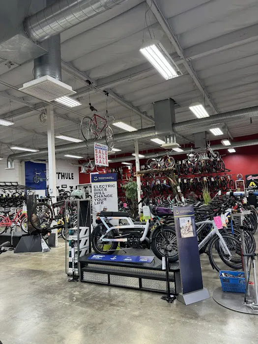 Cyclery USA Picture 6