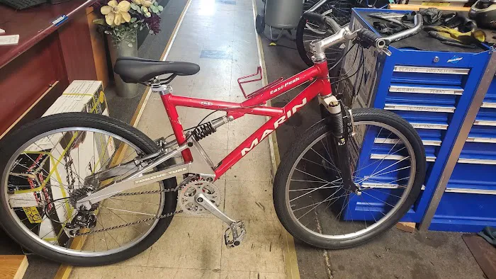 YG Bicycles Picture 1