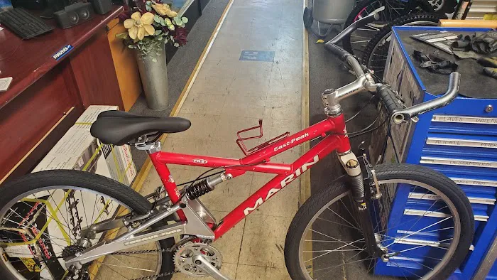 YG Bicycles Picture 7