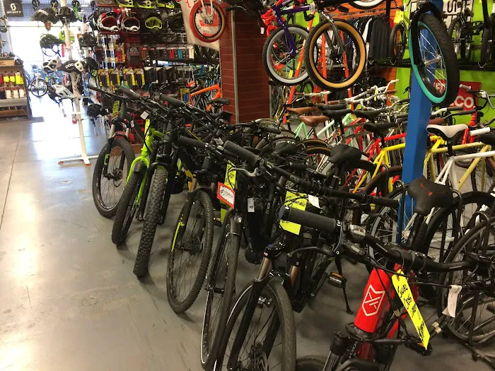 Don's Bicycles Picture 6
