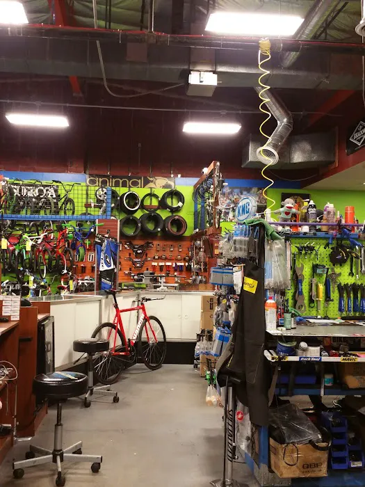 Don's Bicycles Picture 8