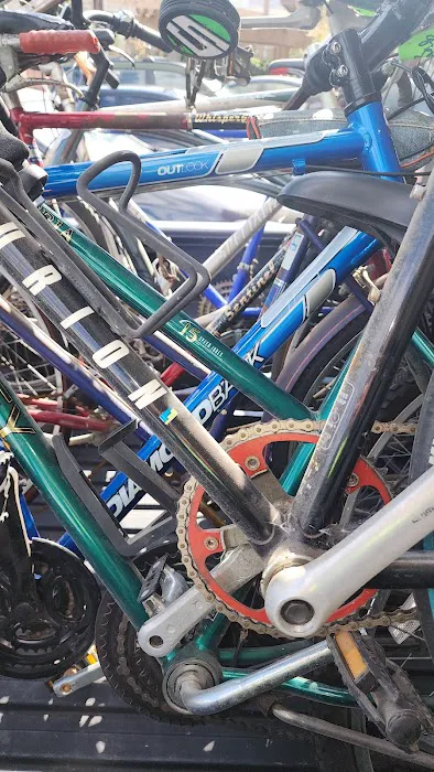 Cycleogical Picture 2