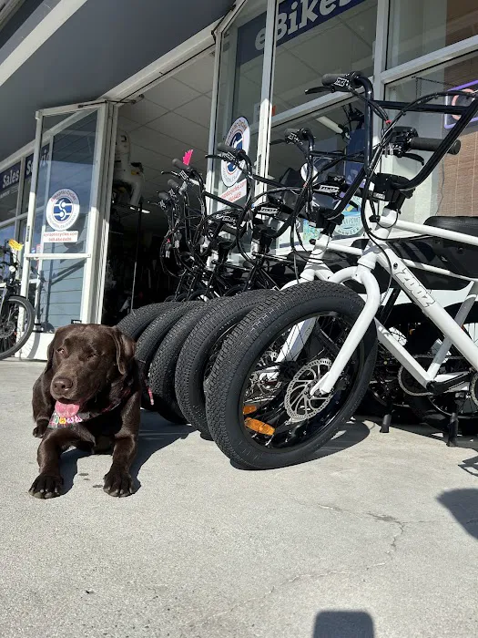 Synaptic Cycles Electric eBike Sales Service Rentals Picture 6