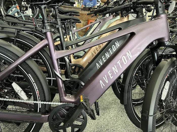 Synaptic Cycles Electric eBike Sales Service Rentals Picture 8