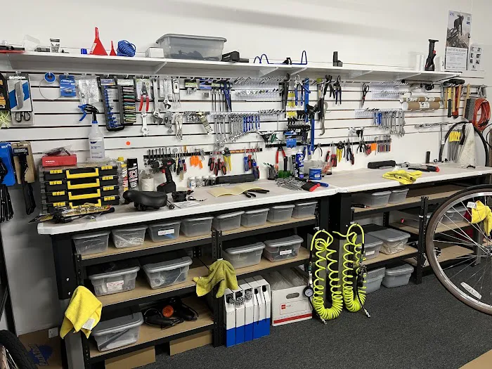 Cycle World Bike Picture 4