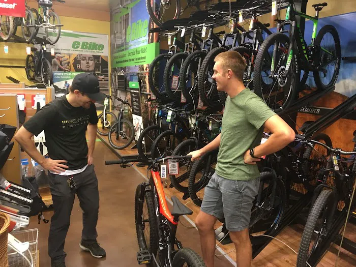 Wheel World Bicycles Picture 2