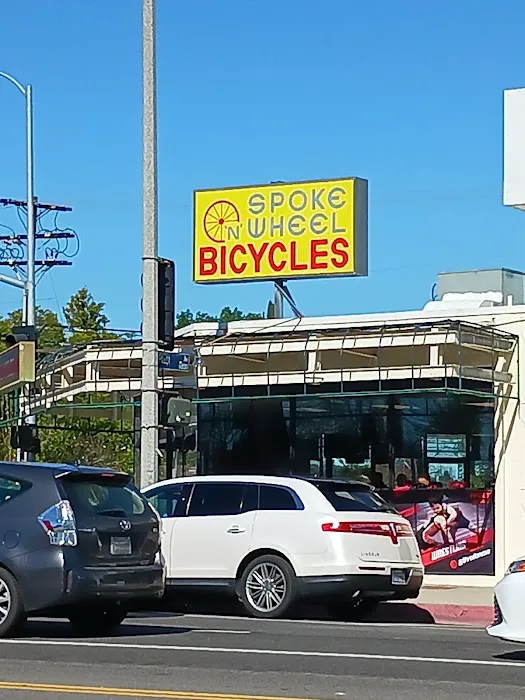 Spoke N Wheel Bicycle Picture 5