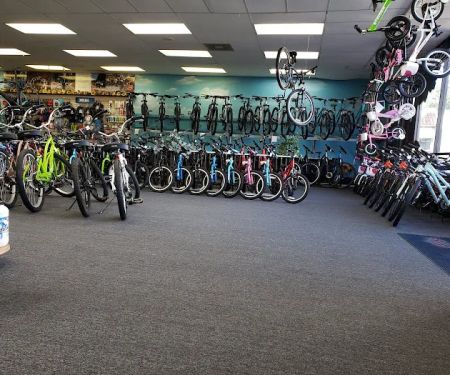 All Pro Bike Shop