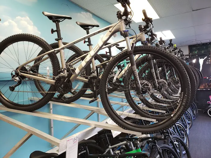 All Pro Bike Shop Picture 3