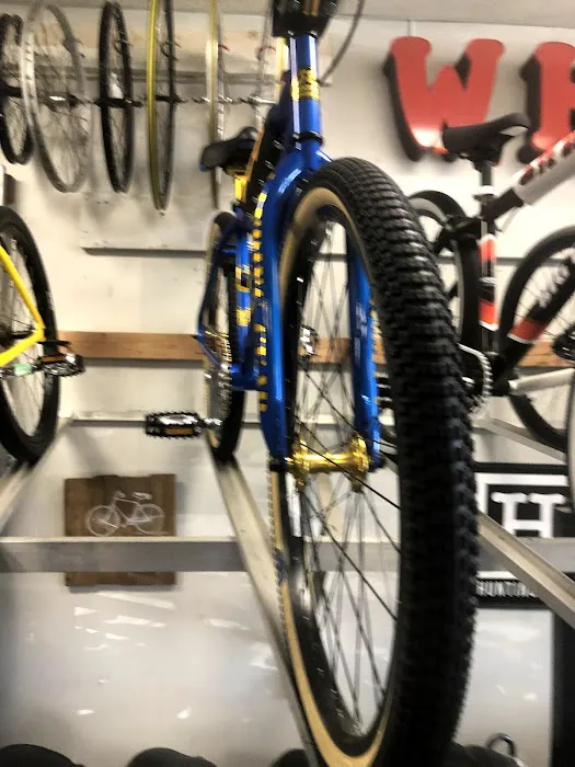 The Bike Guy Picture 6