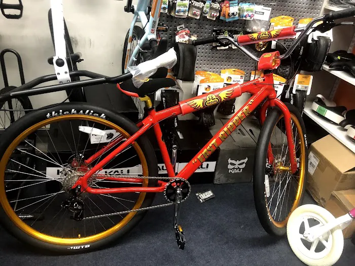 The Bike Guy Picture 9