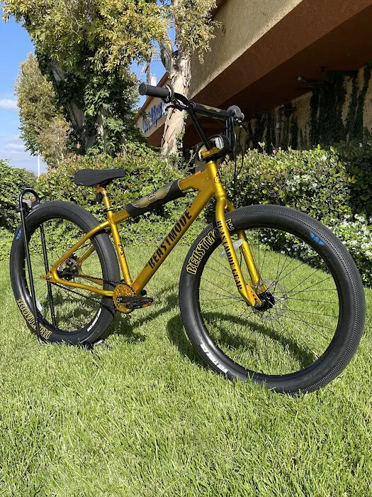805 Bicycles Picture 1