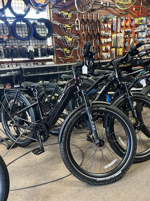 805 Bicycles Picture 6