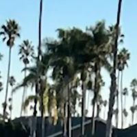 Sams Bike Shop ico