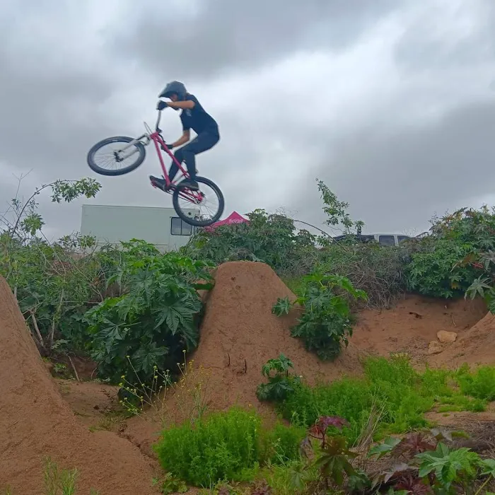 Mobetta Bike Co Picture 10