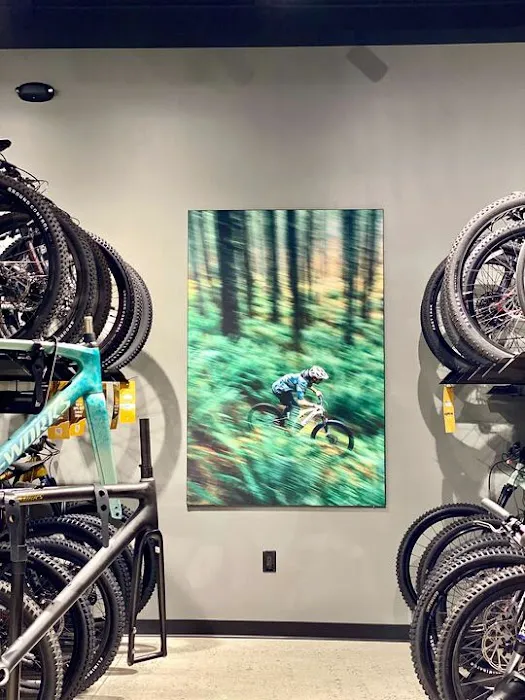 Specialized Carlsbad Picture 6