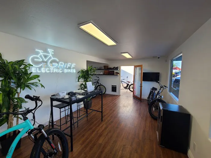 Griff Electric Bikes Picture 3