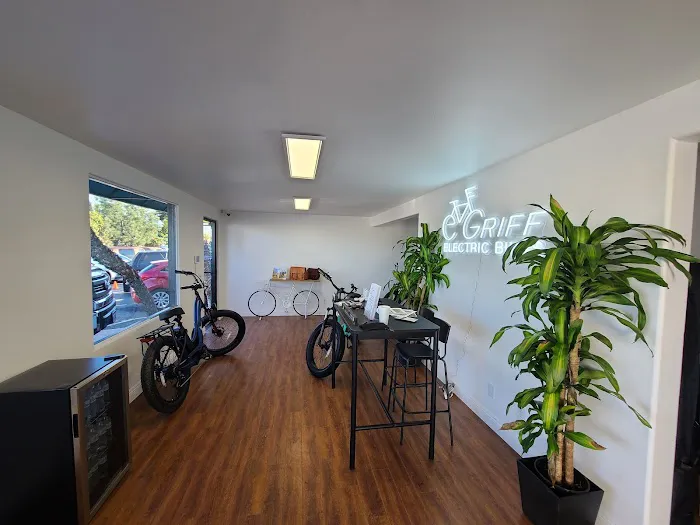 Griff Electric Bikes Picture 6
