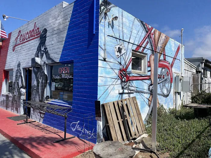 Leucadia Cyclery Picture 1
