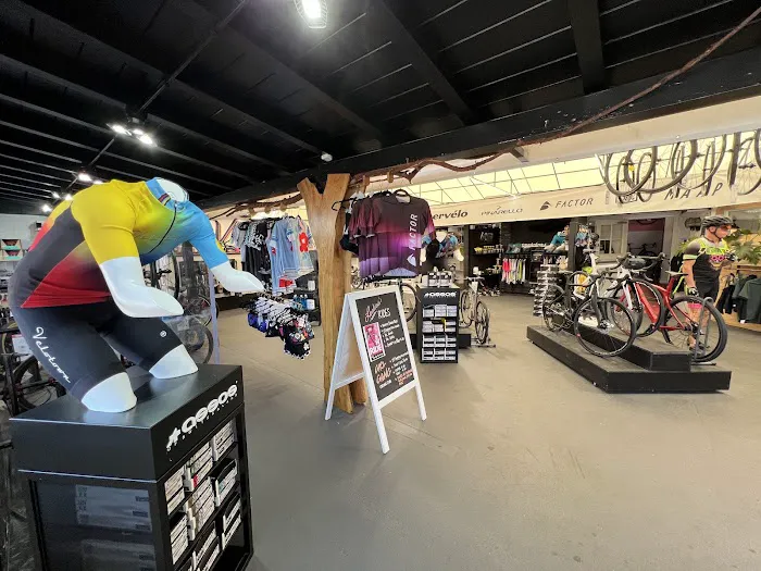 Leucadia Cyclery Picture 3