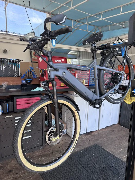 Leucadia Cyclery Picture 8