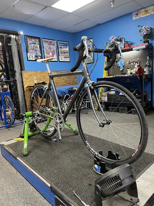 Hypercat Cycleworks & Hypercat Racing Picture 7