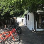 Bicycles of Ojai