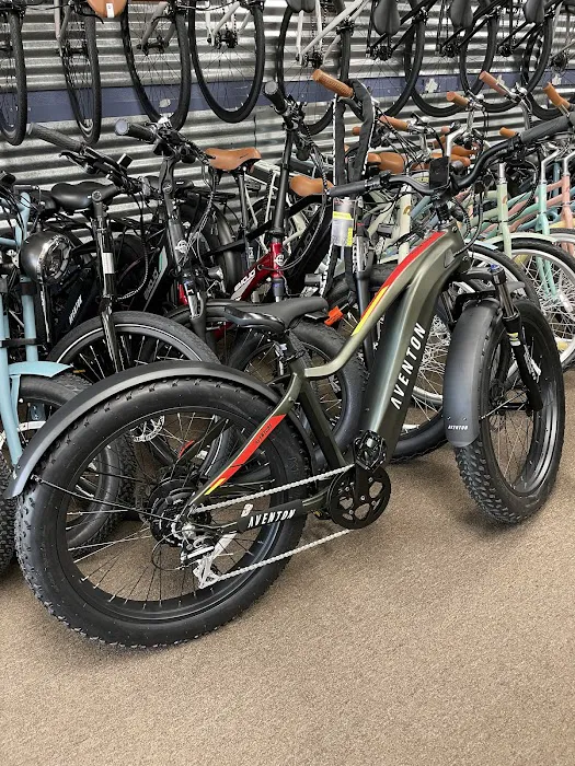 Momentum Ride Shop Picture 5